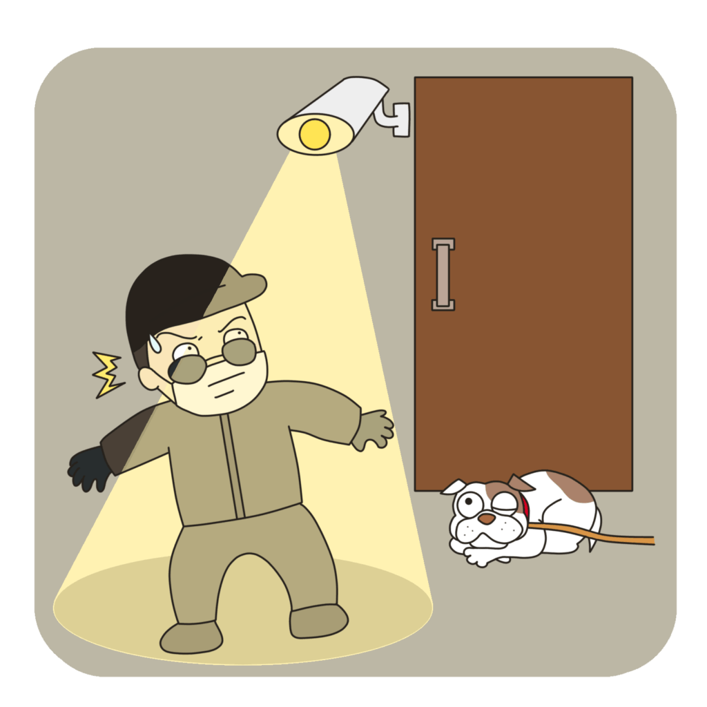 センサーライトで防犯対策